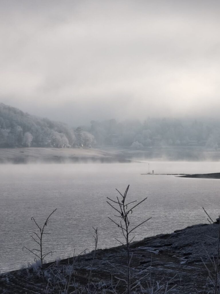 Blick auf den See.